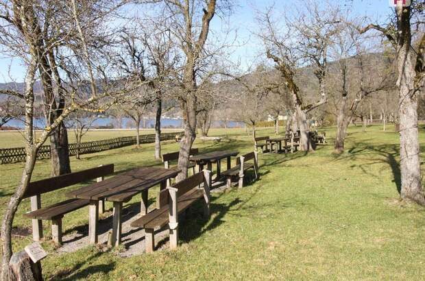 Gewerbeobjekt mieten in 5340 Sankt Gilgen (Bild 4)