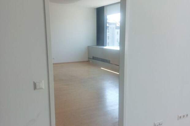 Gewerbeobjekt mieten in 4600 Wels (Bild 5)