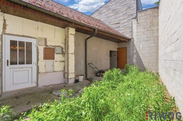 Haus kaufen in 2243 Matzen (Bild 4)