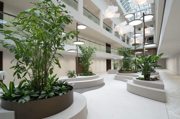 Gewerbeobjekt mieten in 1010 Wien (Bild 4)