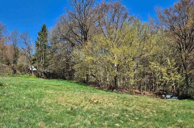 Grundstück kaufen in 9062 Moosburg (Bild 3)