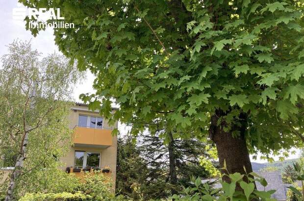 Terrassenwohnung kaufen in 2371 Hinterbrühl (Bild 5)