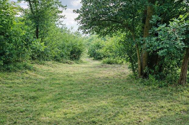 Grundstück kaufen in 2100 Leobendorf (Bild 4)