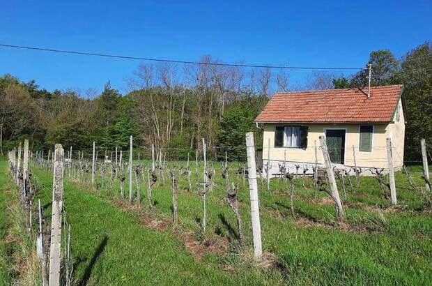 Immobilie kaufen in 7474 Eisenberg (Bild 2)