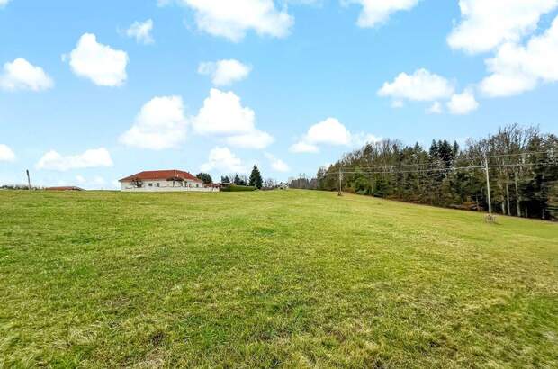 Grundstück kaufen in 7572 Deutsch Kaltenbrunn (Bild 1)