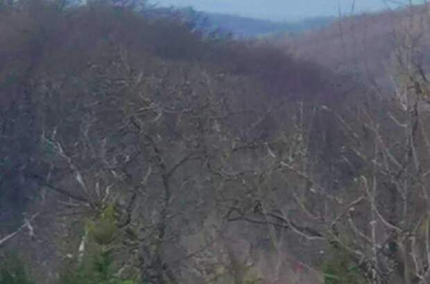 Grundstück kaufen in 3004 Ried (Bild 4)