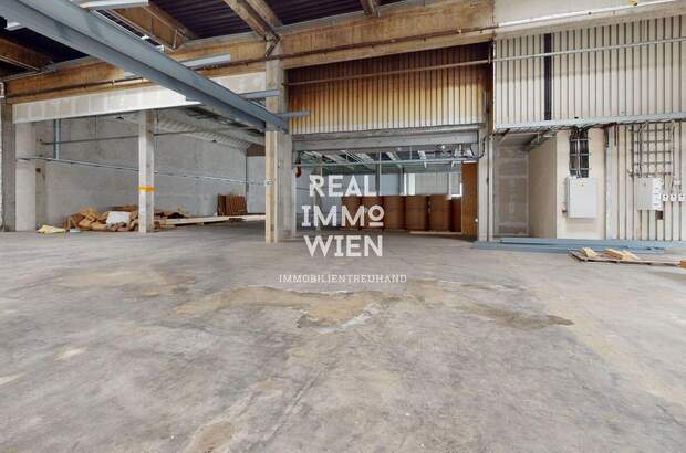 Gewerbeobjekt mieten in 2514 Traiskirchen (Bild 4)