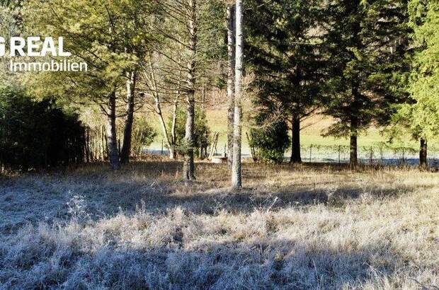 Grundstück kaufen in 3172 Ramsau (Bild 3)