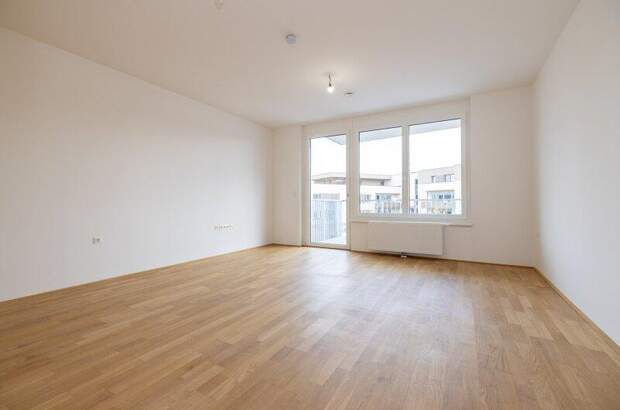 Terrassenwohnung mieten in 2700 Wr. Neustadt (Bild 2)