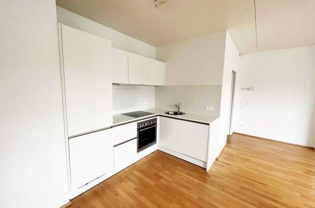 Terrassenwohnung mieten in 1200 Wien (Bild 4)
