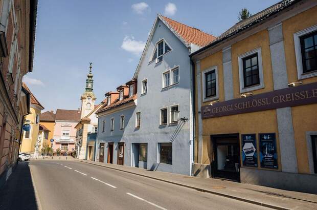 Anlageobjekt kaufen in 8461 Ehrenhausen (Bild 4)