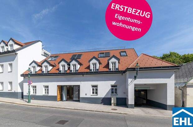 Wohnung kaufen in 1190 Wien (Bild 1)