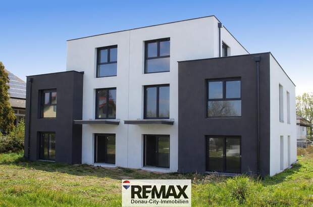 Reihenhaus kaufen in 2333 Leopoldsdorf (Bild 1)