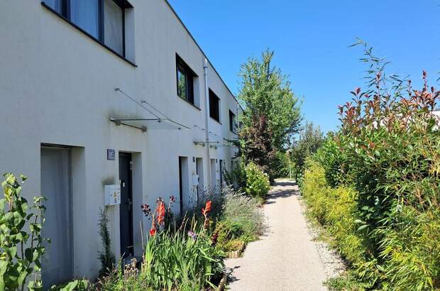 Wohnung mieten in 3500 Gneixendorf (Bild 2)