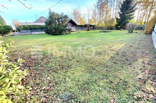 Grundstück kaufen in 4073 Wilhering (Bild 1)