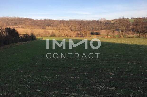 Grundstück kaufen in 2123 Kreuttal