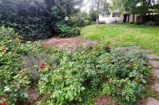 Haus mit Garten kaufen in 3430 Tulln (Bild 3)