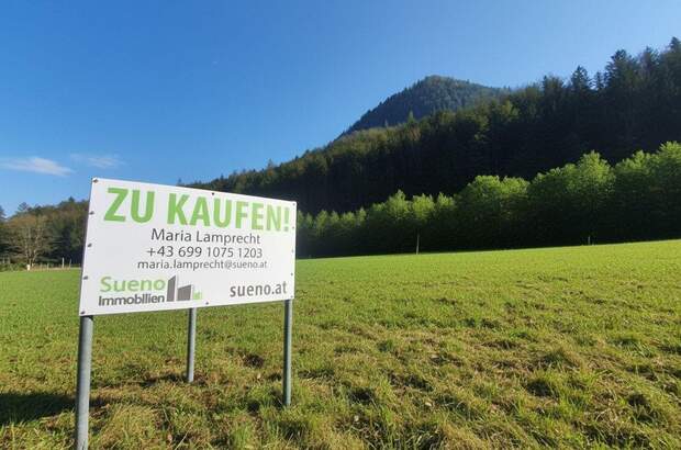Grundstück kaufen in 4645 Grünau (Bild 3)