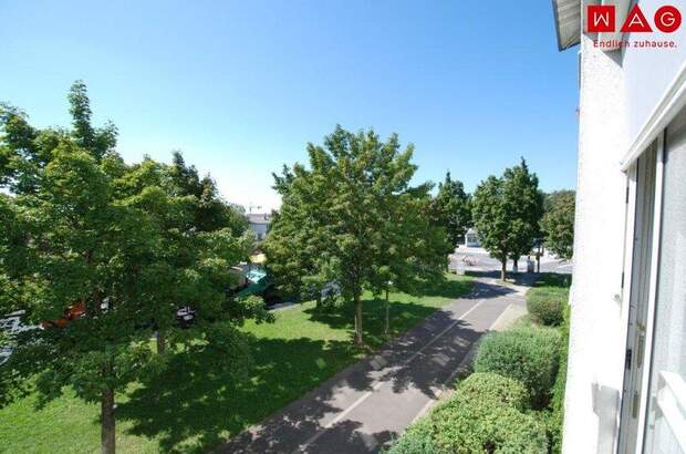 Mietwohnung in 4030 Linz (Bild 1)