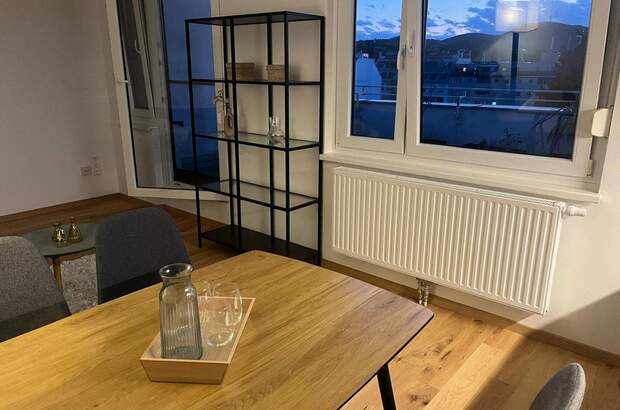 Terrassenwohnung mieten in 1210 Wien (Bild 2)
