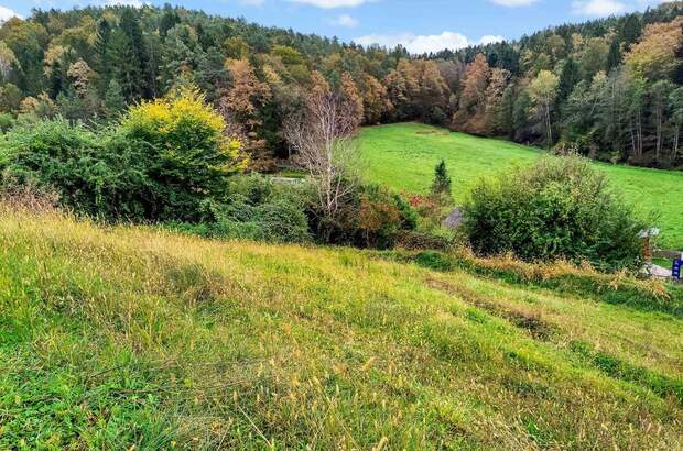 Grundstück kaufen in 8075 Hart (Bild 1)