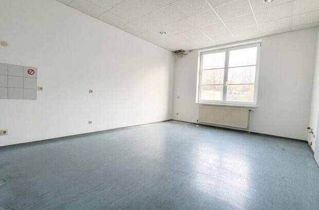 Einzelhandel mieten in 3681 Hofamt Priel (Bild 5)