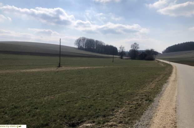 Gewerbeobjekt kaufen in 4941 Mehrnbach (Bild 1)