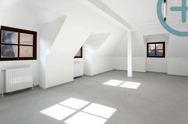 Gewerbeobjekt mieten in 1190 Wien (Bild 4)