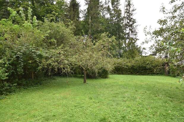 Grundstück kaufen in 5026 Salzburg (Bild 1)