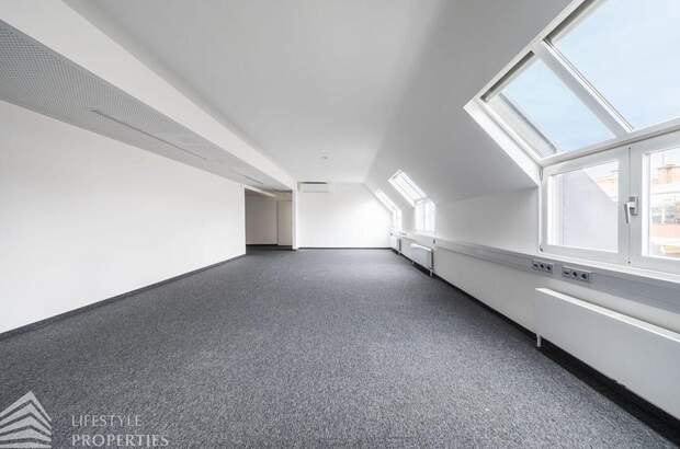 Gewerbeobjekt mieten in 1010 Wien (Bild 5)