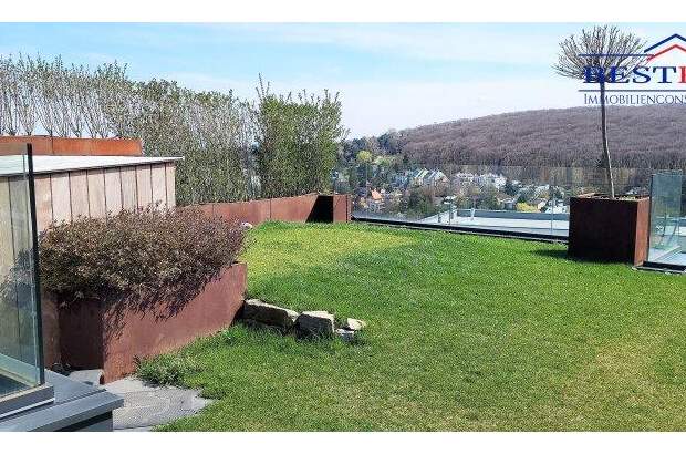 Terrassenwohnung kaufen in 1190 Wien (Bild 1)