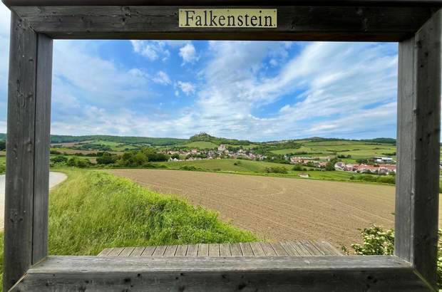 Einfamilienhaus kaufen in 2162 Falkenstein (Bild 1)