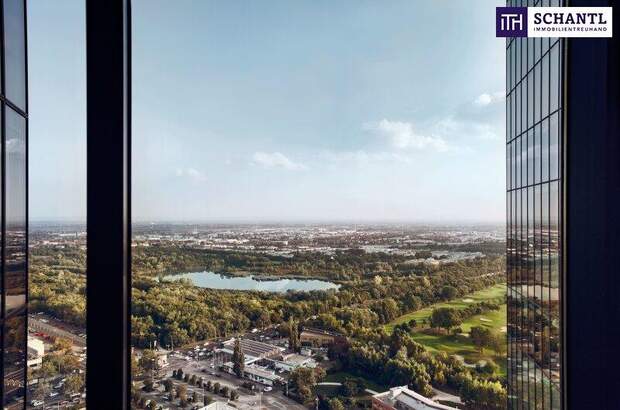 Büro / Praxis mieten in 1100 Wien (Bild 4)