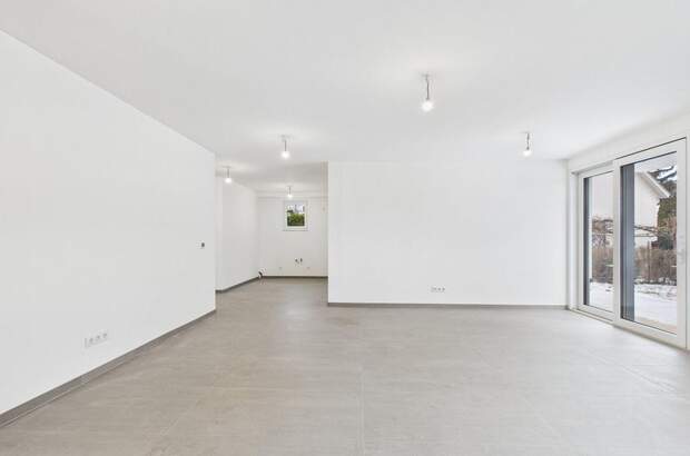 Gewerbeobjekt kaufen in 1230 Wien (Bild 3)