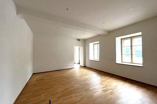 Gewerbeobjekt mieten in 8010 Graz (Bild 4)