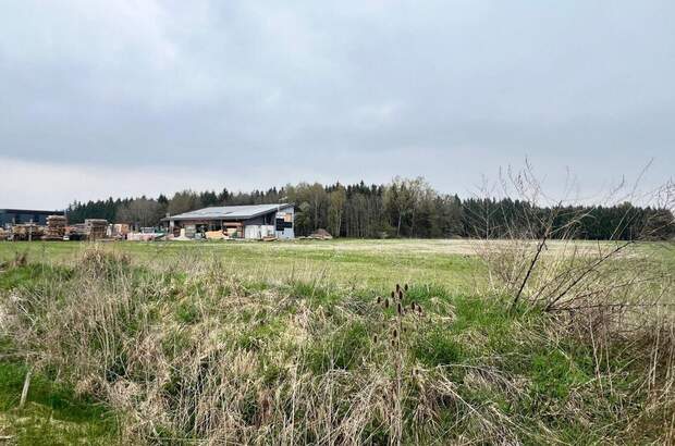 Grundstück kaufen in 4621 Schnarrndorf (Bild 1)