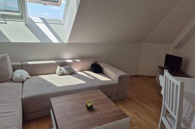 Wohnung kaufen in 2103 Langenzersdorf (Bild 1)