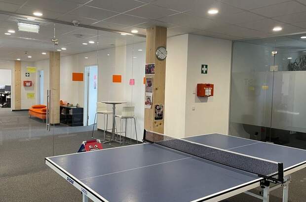 Gewerbeobjekt mieten in 8042 Graz (Bild 2)