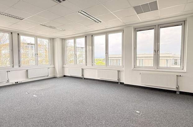 Gewerbeobjekt mieten in 2320 Schwechat (Bild 1)