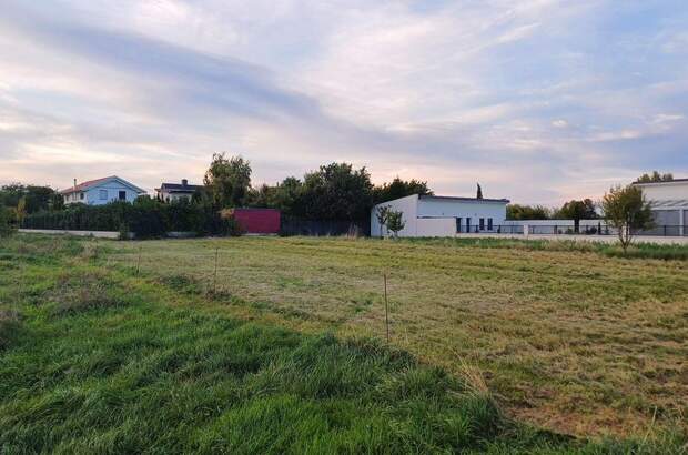 Grundstück kaufen in 7141 Podersdorf (Bild 3)