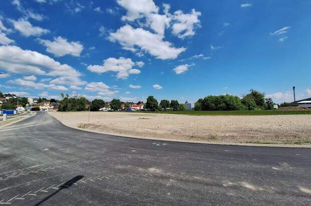 Gewerbeobjekt kaufen in 2560 Berndorf (Bild 4)