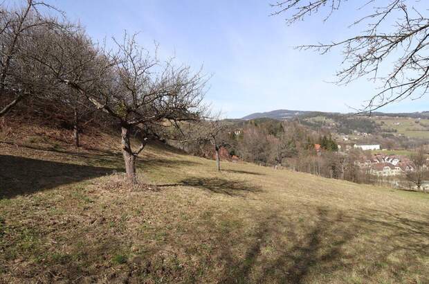 Grundstück kaufen in 8591 Maria Lankowitz (Bild 5)