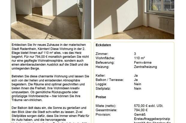 Anlageobjekt kaufen in 9545 Radenthein (Bild 3)