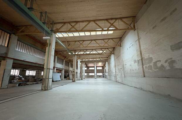 Gewerbeobjekt mieten in 1230 Wien (Bild 2)