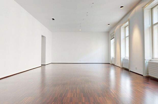 Gewerbeobjekt mieten in 1010 Wien (Bild 5)