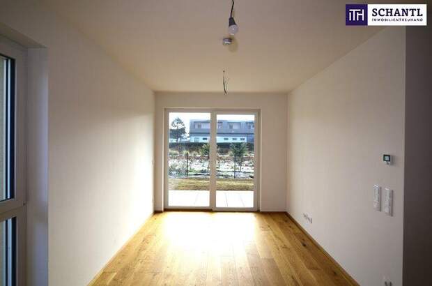 Terrassenwohnung kaufen in 8401 Kalsdorf (Bild 3)