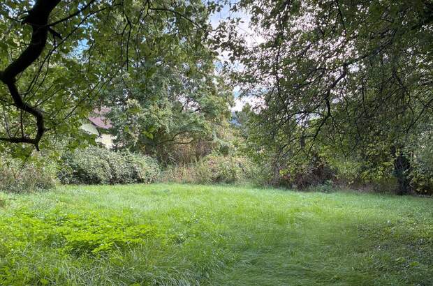 Grundstück kaufen in 2371 Hinterbrühl (Bild 3)