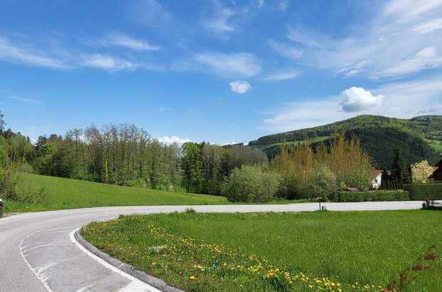 Grundstück kaufen in 3153 Eschenau (Bild 4)