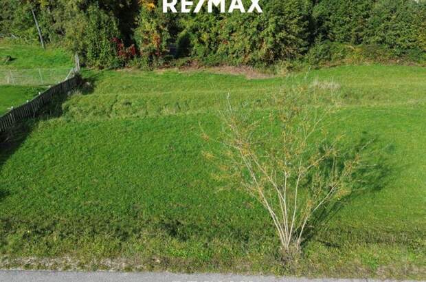 Grundstück kaufen in 4853 Steinbach (Bild 4)