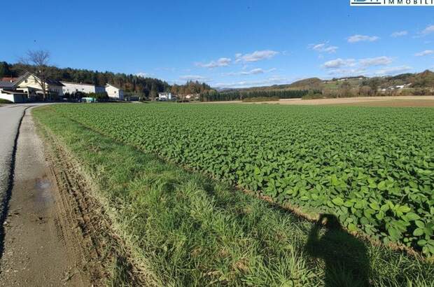 Grundstück kaufen in 8261 Sinabelkirchen (Bild 5)